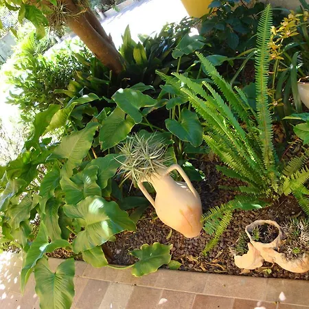 Andoramare 게스트하우스