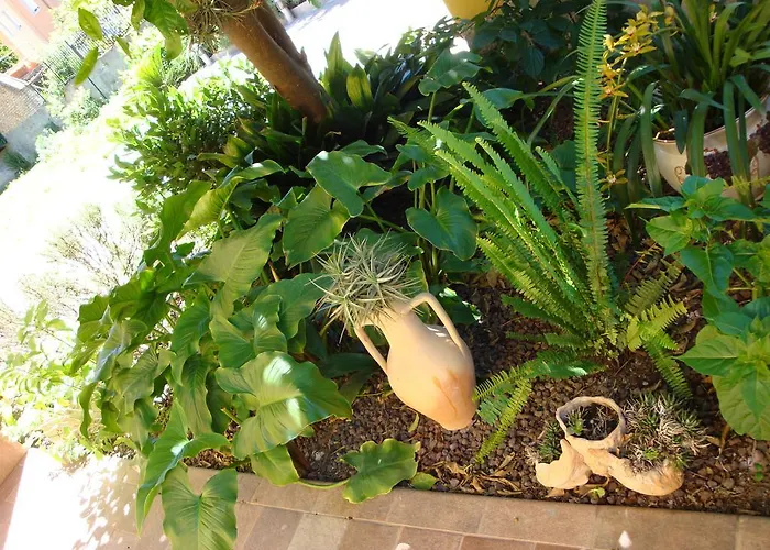 Andoramare 게스트하우스