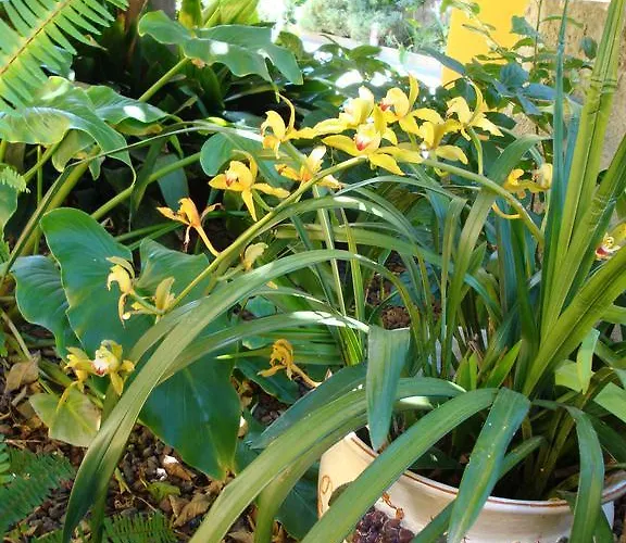 Pensión Andoramare 4*